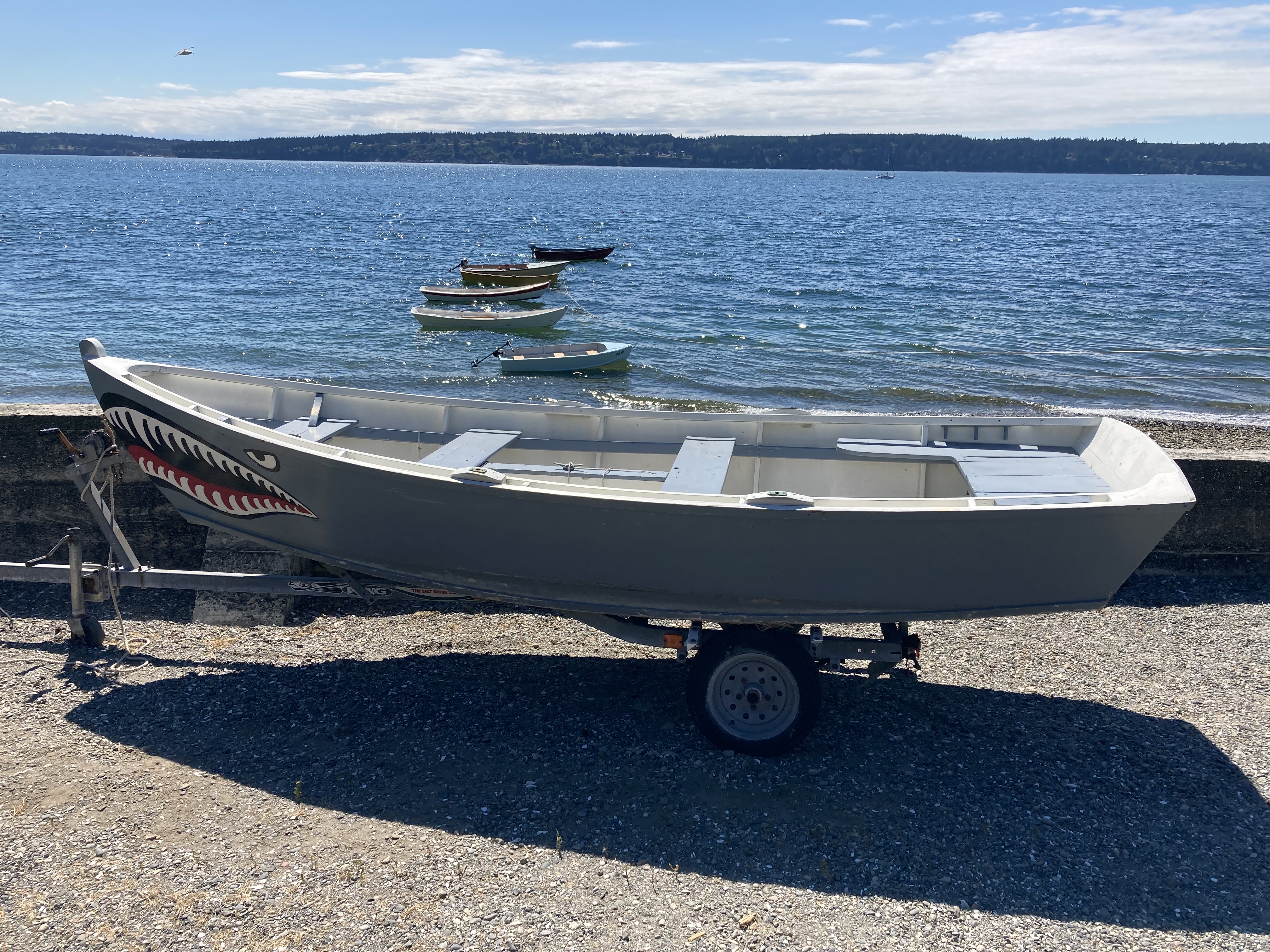 Sharky with the clothesline in the background.